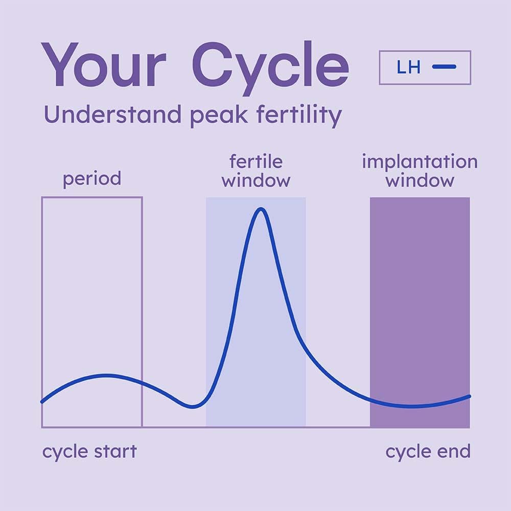 Proov Predict Ovulation Test Strips for Peak Fertility, 30 LH Hormone Tests for Women - Image 6