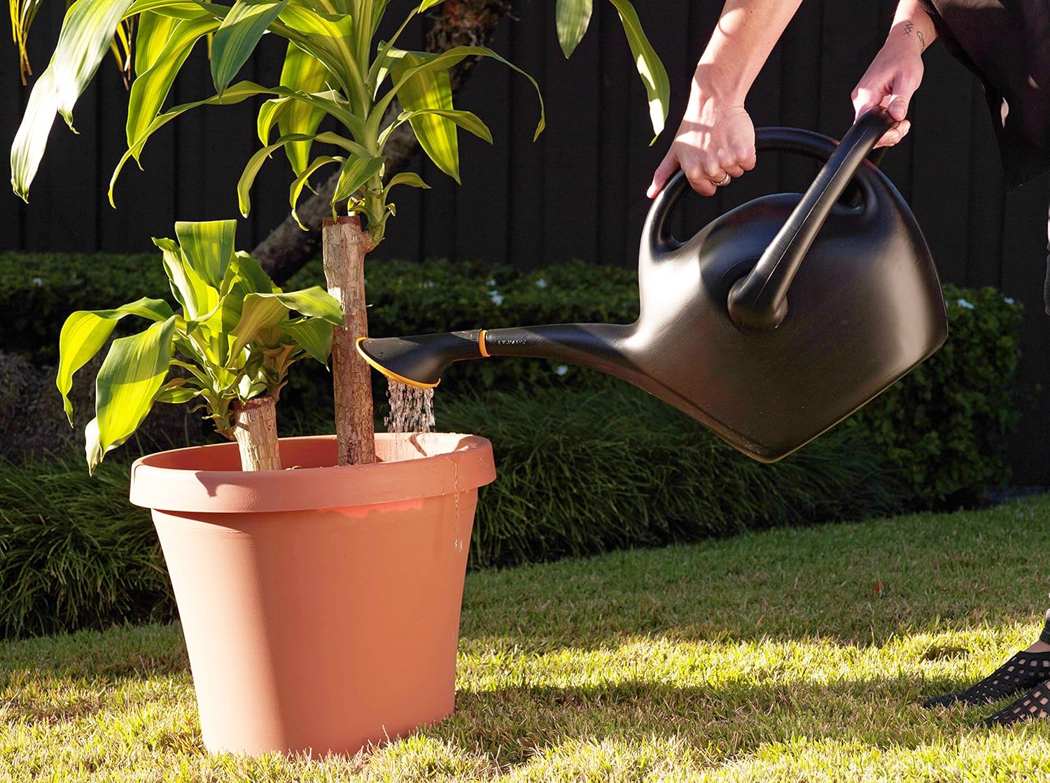 Bloem 2.6 Gallon Black Easy Pour Watering Can for Garden Use - Image 8