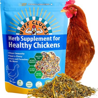 Natural Herb Supplement for Backyard Chickens 12 oz Daily Wellness Botanical Mix