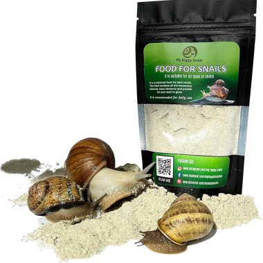 7 Oz Land Snail Food Supplement Protein Calcium Minerals for Garden African Giant Helix Aspersa Pomatia