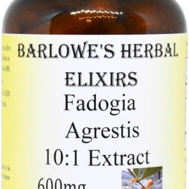 Barlowe's Herbal Elixirs Fadogia Agrestis Extract - 60 600mg VegiCaps - Stearate Free, Glass Bottle!